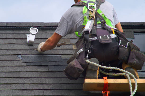 Best Roof Replacement Cost  in Somonauk, IL
