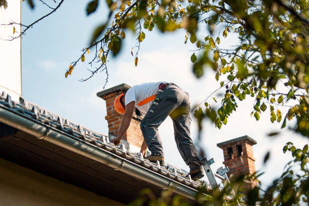 Best Commercial Roof Installation  in Somonauk, IL