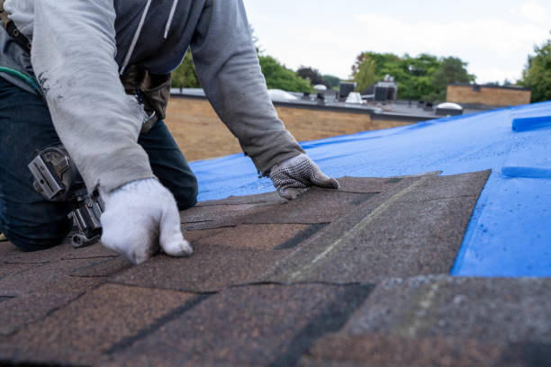 Best Shingle Roofing Installation  in Somonauk, IL