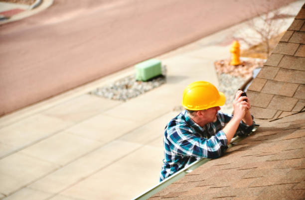 Best Roof Gutter Cleaning  in Somonauk, IL