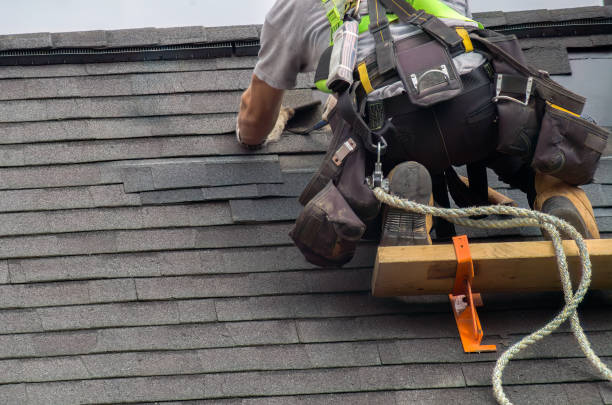 Professional Roofing Contractor in Somonauk, IL