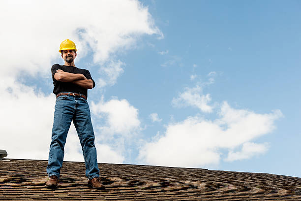 Best Metal Roofing Contractor  in Somonauk, IL
