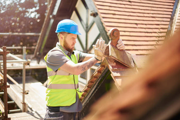 Best Roof Maintenance Services  in Somonauk, IL