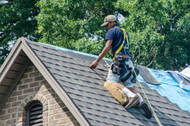 Best Residential Roofing Contractor  in Somonauk, IL